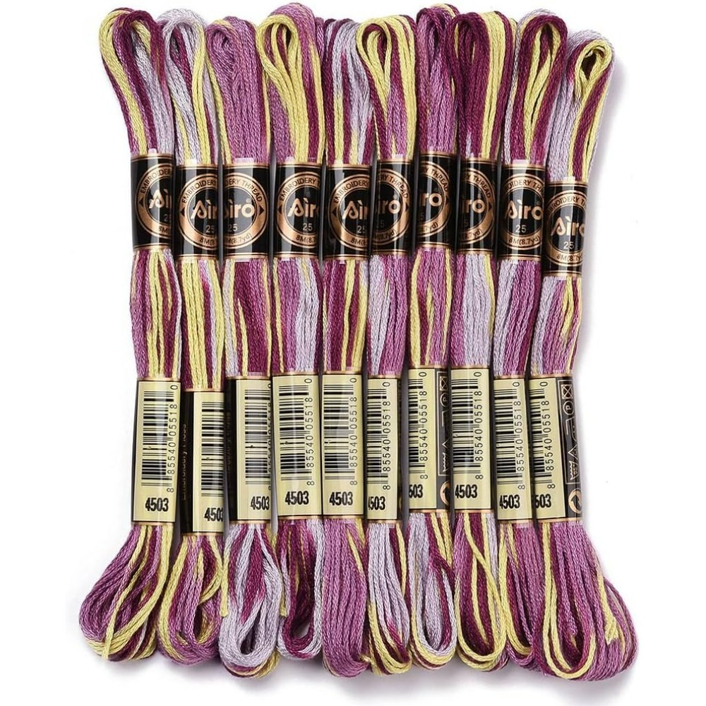 Embroidery Embellishments - Fil à broder panaché violet, 6