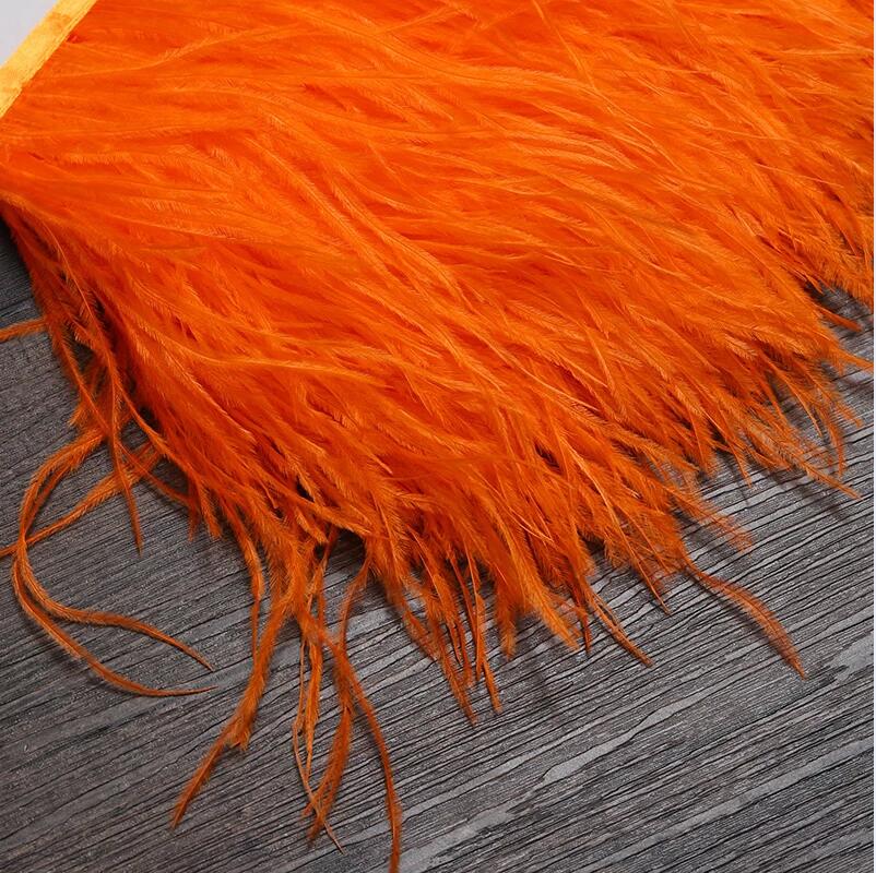 Ceinture en tissu avec plumes  - Feather Trim Marabou avis et prix